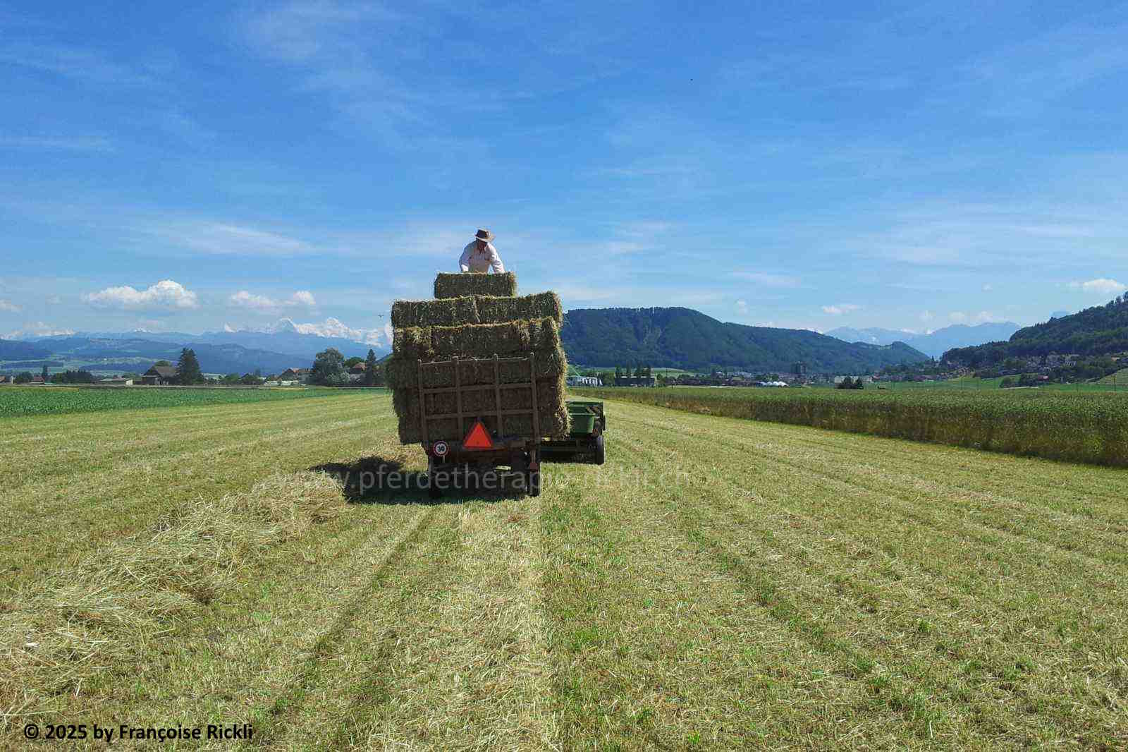 Ökoheu Pferdefütterung Kotwasser Durchfall