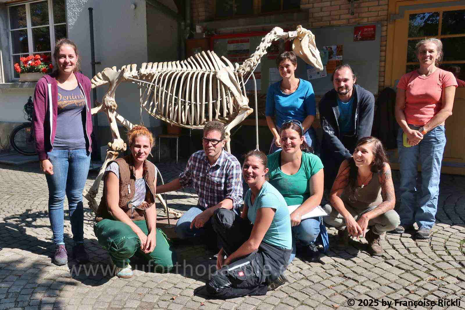 Lahmheitsdiagnostik im NPZ Bern