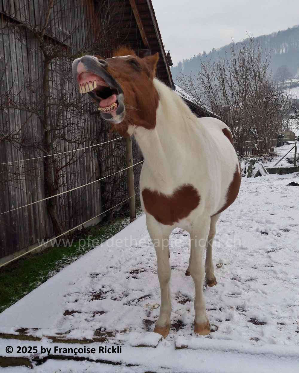 1 23