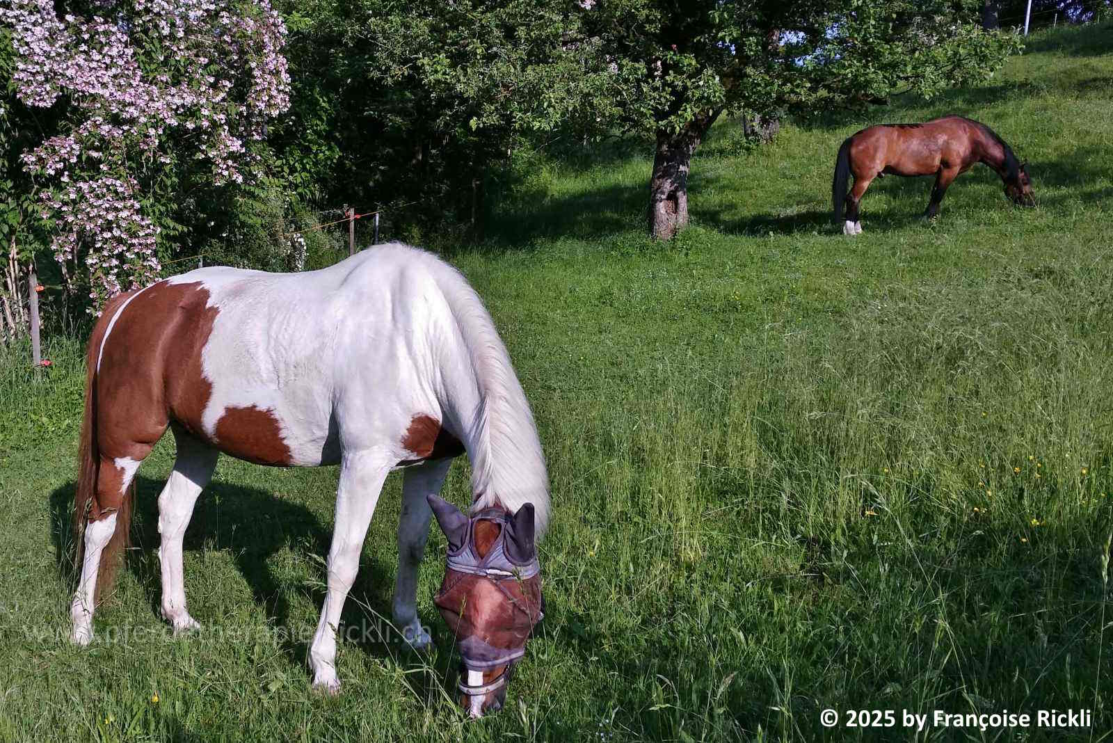 1 28